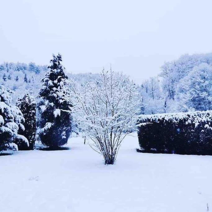 Maison 6 Places, En Plein Coeur De L'Ariege, Proche Ski Et Nature Lesparrou Exterior foto