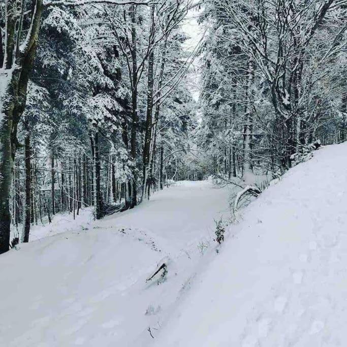 Maison 6 Places, En Plein Coeur De L'Ariege, Proche Ski Et Nature Lesparrou Exterior foto