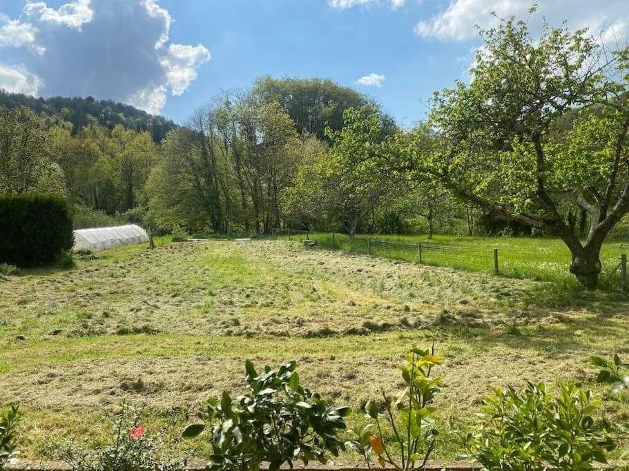 Maison 6 Places, En Plein Coeur De L'Ariege, Proche Ski Et Nature Lesparrou Exterior foto
